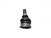 Joint de suspension Ball Joint:43310-59025