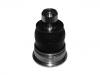 球头 Ball Joint:54501-1HA6A#